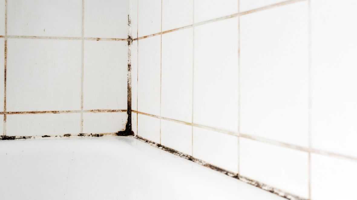 ‘Easy to use’ gadget clears stubborn mould from bathrooms – and it’s just €11